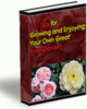 Thumbnail 101 Tips For Growing Your Own Great Rose Garden plr Thumbnail 101 Tips For Growing Your Own Great Rose Garden plr