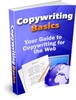 Thumbnail Copywriting Basics plr