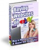 Thumbnail Buying Websites On eBay plr Thumbnail Buying Websites On eBay plr