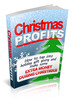 Thumbnail Christmas Profits plr