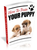 Thumbnail How To Train Your Puppy plr Thumbnail How To Train Your Puppy plr