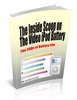Thumbnail The Inside Scoop On The Video iPod Battery plr