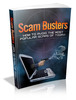 Thumbnail Scam Busters plr