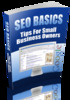 Thumbnail SEO Basics - Tips For Small Business Owners plr