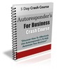 Thumbnail Autoresponders For Business Crash Course PLR