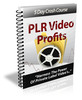 Thumbnail PLR Video Profits
