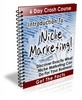 Thumbnail Introduction To: Niche Marketing! PLR