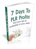 Thumbnail 7 Days To PLR Profits