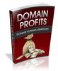 Thumbnail Domain Profits PLR