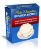 Thumbnail Cake Decorating Business Secrets PLR