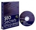 Thumbnail SEO Secrets Uncovered PLR