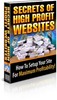 Thumbnail Secrets Of High Profit Websites PLR