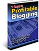 Thumbnail 7 Days to Profitable Blogging PLR