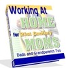 Thumbnail Working At Home For 21st Century Moms mrr