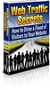 Thumbnail Web Traffic Secrets mrr