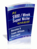 Thumbnail My $900/Week Super Niche Revealed mrr