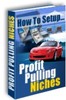 Thumbnail How To Setup Profit Pulling Niches mrr
