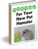 Thumbnail For Your New Pet Hamster mrr