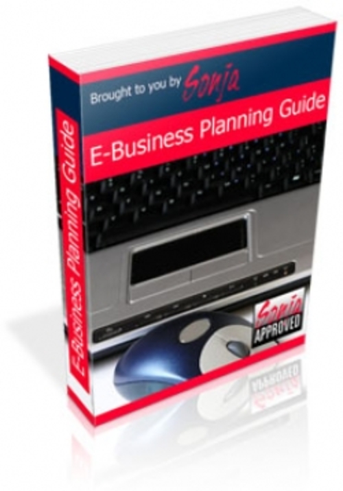Product picture E-Business Planning Guide