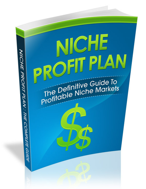 Product picture Niche Profit Plan plr
