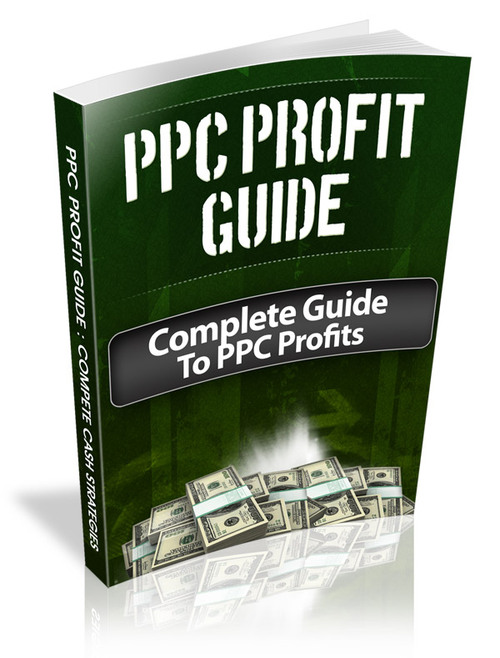 Product picture PPC Profit Guide plr