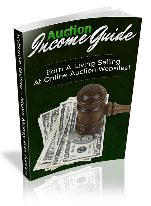 Product picture Auction Income Guide plr