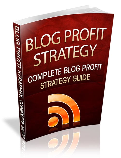 Product picture Blog Profit Strategy plr