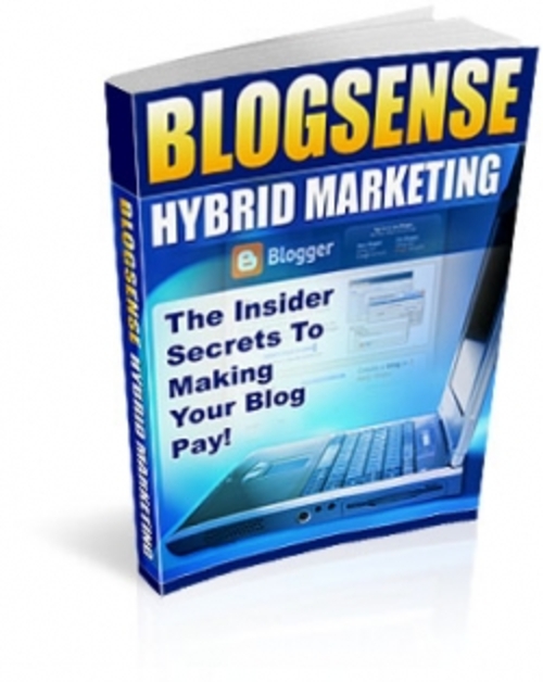 Product picture Blog Sense Hybrid Marketing plr