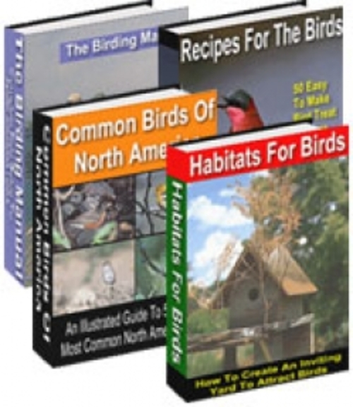 Product picture Birding For Everyone plr