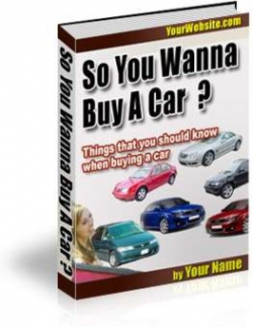 Product picture So You Wanna Buy A Car ? plr