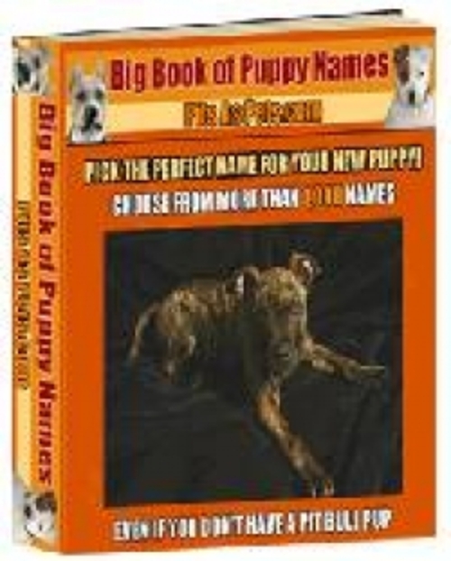 Product picture Big Book of Puppy Names plr