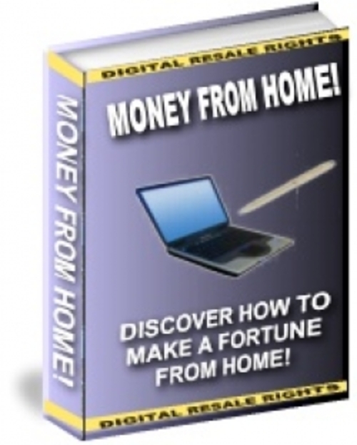 Product picture Money From Home plr