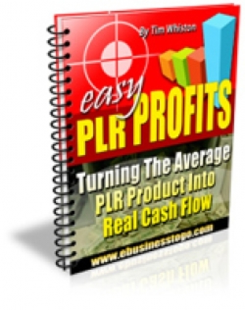 Product picture Easy PLR Profits plr
