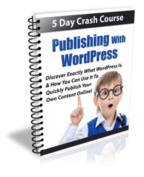 Product picture Publishing With WordPress plr