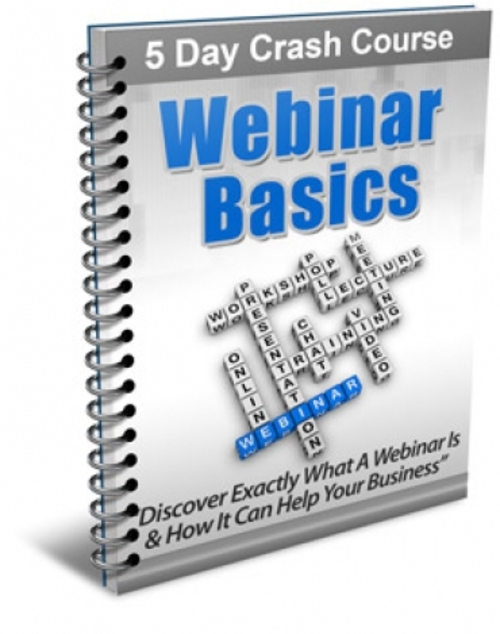Product picture Webinar Basics plr