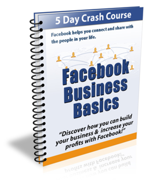 Product picture Facebook Business Basics plr