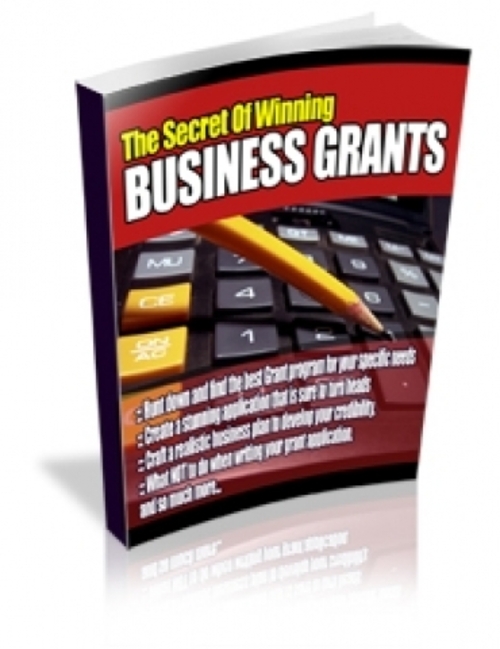 Product picture The Secrets Of Winning Business Grants plr