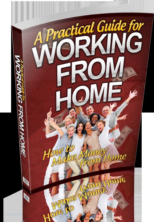 Product picture A Practical Guide For Working From Home