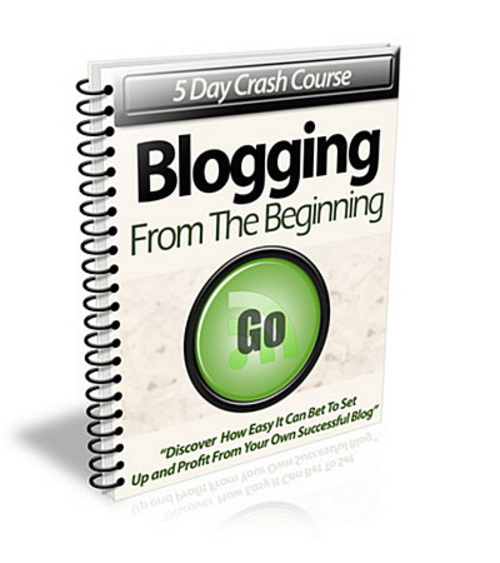 Product picture Blogging From The Beginning PLR