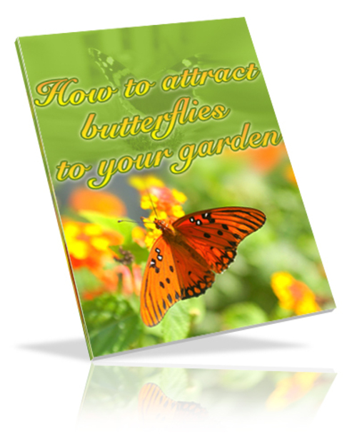 Product picture How To Attract Butterflies To Your Garden PLR