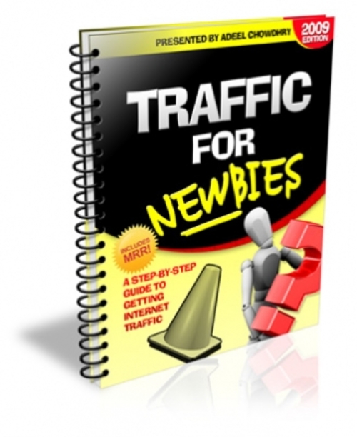 Product picture Traffic For Newbies PLR
