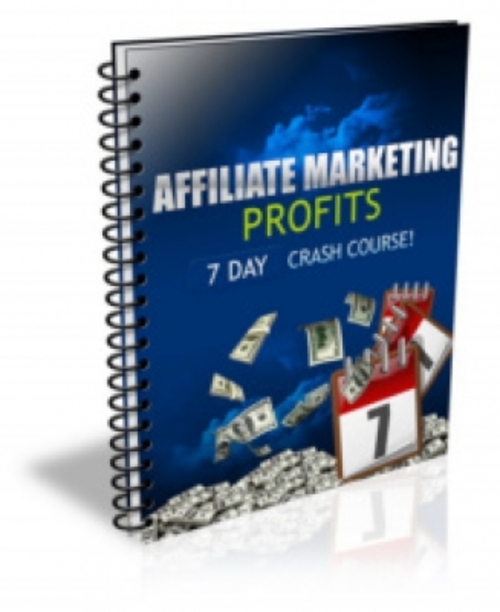 Product picture Affiliate Marketing Profits PLR