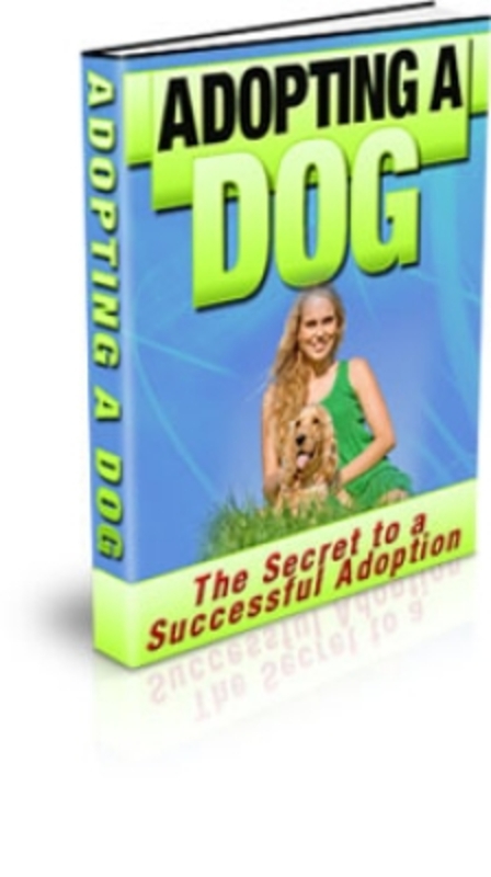 Product picture Adopting A Dog PLR