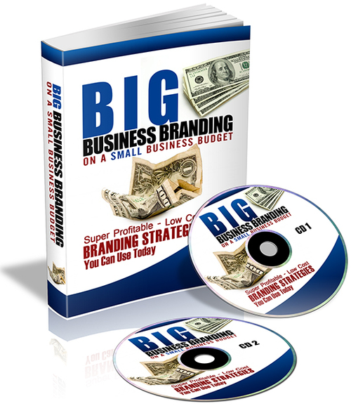 Product picture Big Business Branding On A Small Business Budget PLR