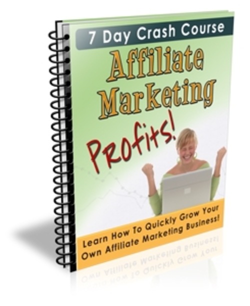 Product picture 7 Day Crash Course Affiliate Marketing Profits! PLR