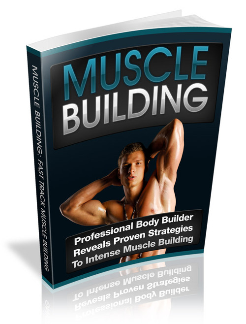 Product picture Muscle Building PLR