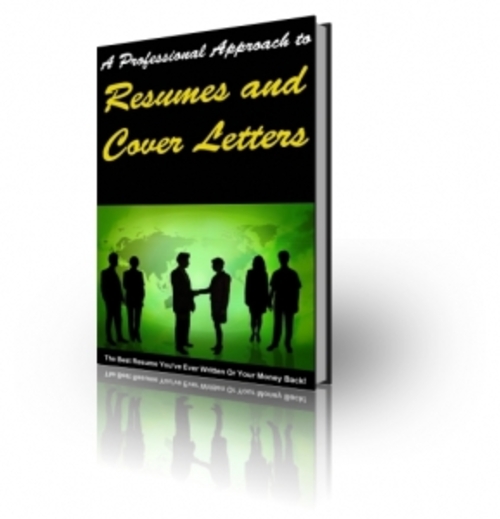 Product picture A Professional Approach To Resume and Cover Letters PLR