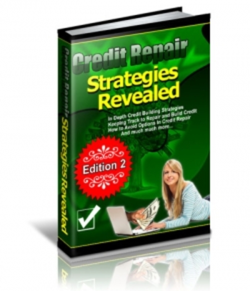 Product picture Credit Repair Strategies Revealed PLR