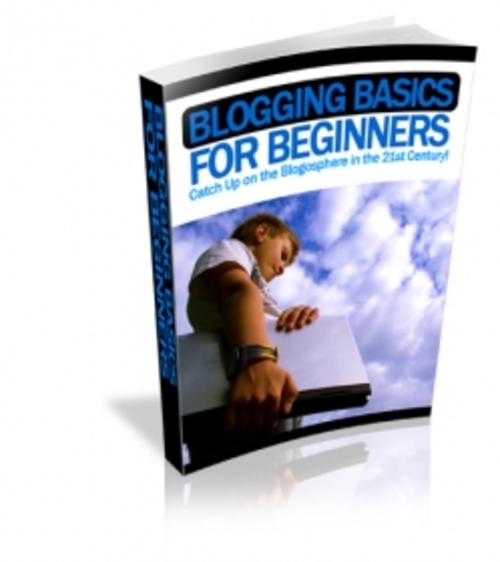 Product picture Blogging Basics For Beginners PLR