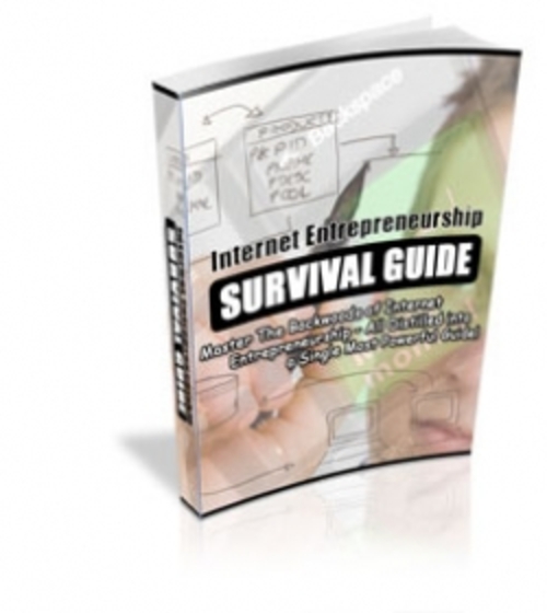 Product picture Internet Entrepreneurship Survival Guide PLR